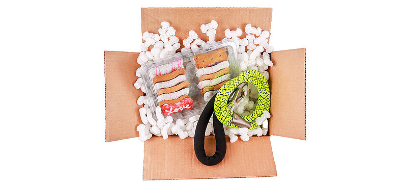 A cardboard box containing dog toys and bone-shaped packaging chips